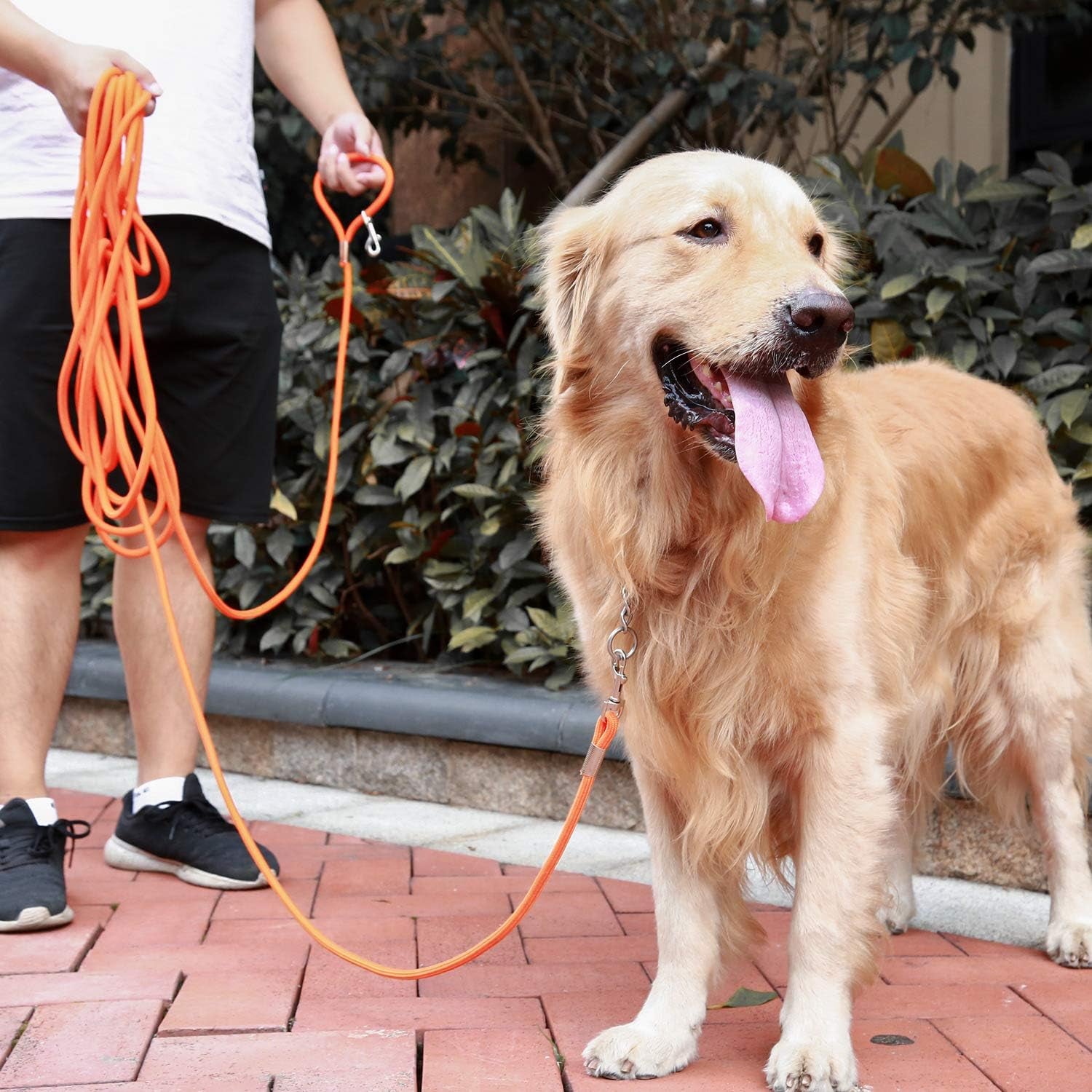 Check Cord Large,Medium Small Dogs/Puppy Obedience Recall Training Agility Lead - 15Ft 30Ft 50Ft Training Leash - Great for Training, Play, Camping, or Backyard Black 15 Feet