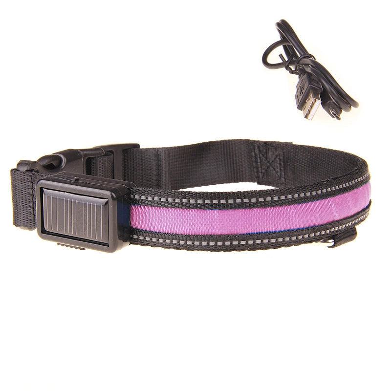 Solar Charging Led Dog Collar USB Rechargeable Night Safety Collar Perro Led Usb Adjustable Pet Led Dog Collar Light Usb Glowing