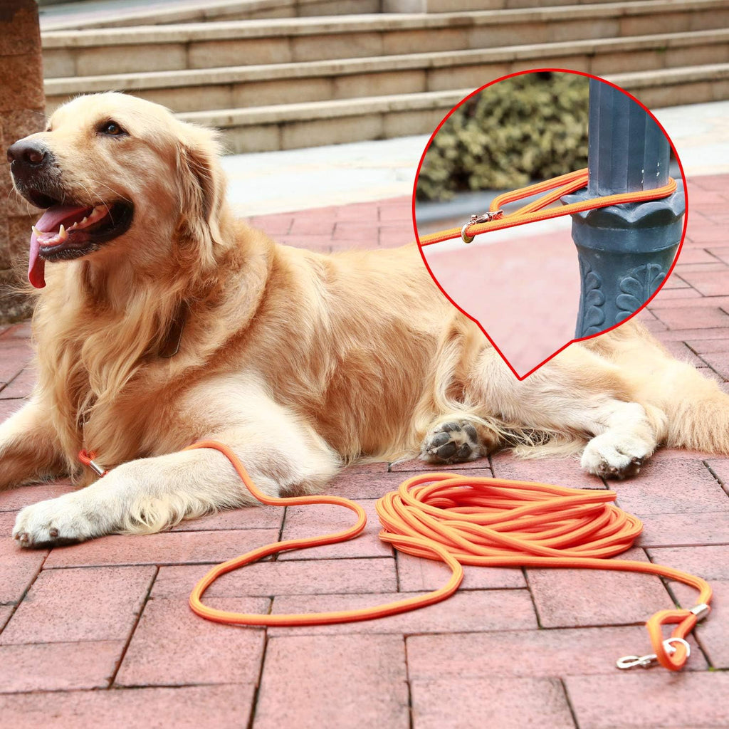 Check Cord Large,Medium Small Dogs/Puppy Obedience Recall Training Agility Lead - 15Ft 30Ft 50Ft Training Leash - Great for Training, Play, Camping, or Backyard Black 15 Feet